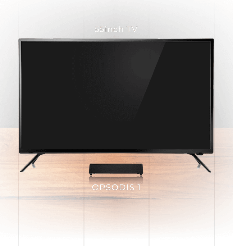 55inch TV